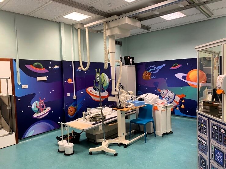 Immersive Theming Achieved Through Wall Graphics
